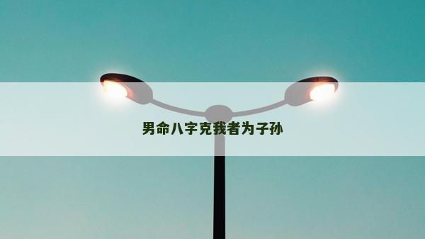 男命八字克我者为子孙