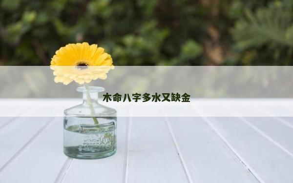 木命八字多水又缺金