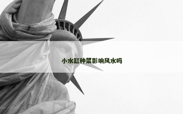小水缸种菜影响风水吗