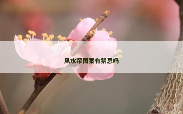 风水帘图案有禁忌吗