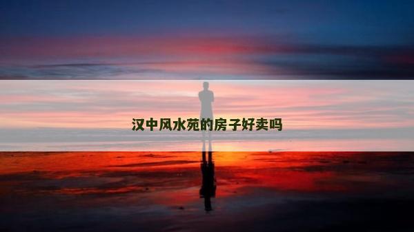 汉中风水苑的房子好卖吗