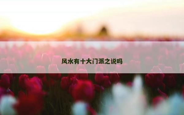 风水有十大门派之说吗