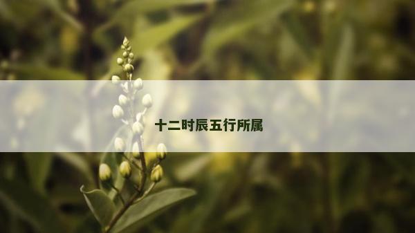 十二时辰五行所属