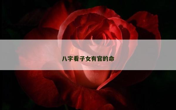 八字看子女有官的命
