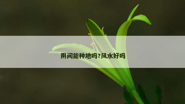 阴间能种地吗?风水好吗