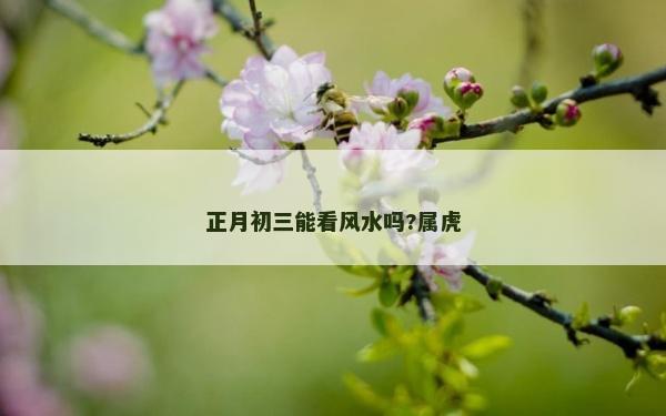 正月初三能看风水吗?属虎