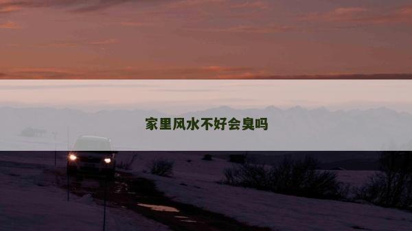 家里风水不好会臭吗