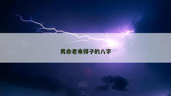 男命老来得子的八字