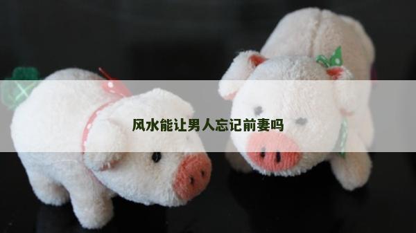 风水能让男人忘记前妻吗