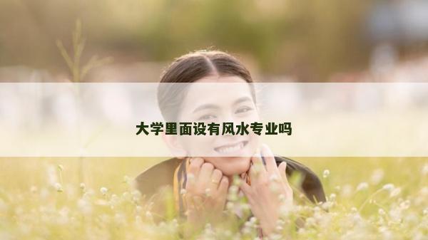 大学里面设有风水专业吗
