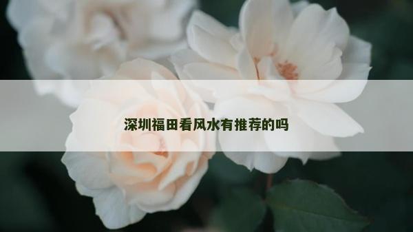 深圳福田看风水有推荐的吗