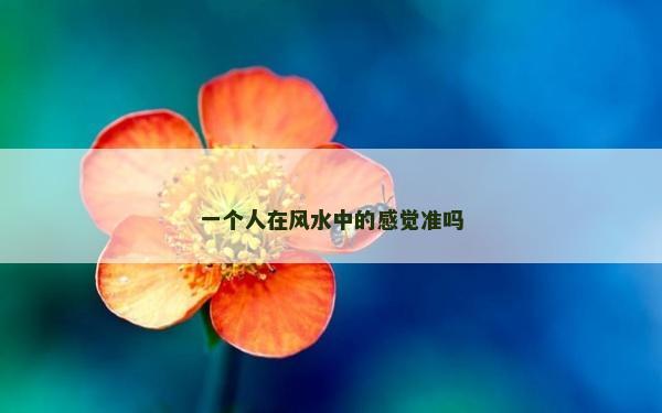 一个人在风水中的感觉准吗