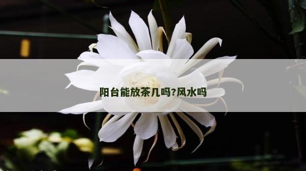 阳台能放茶几吗?风水吗