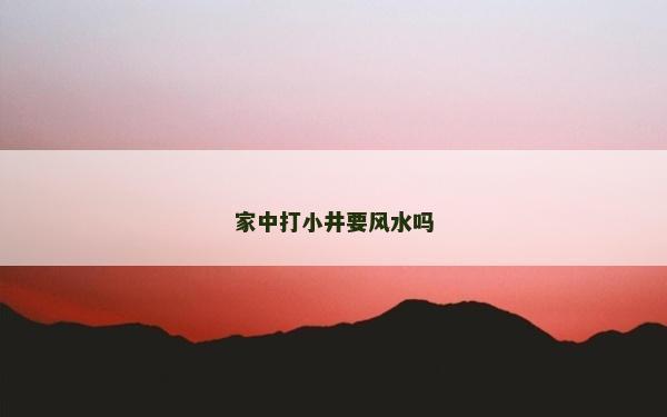 家中打小井要风水吗