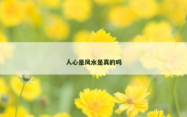 人心是风水是真的吗