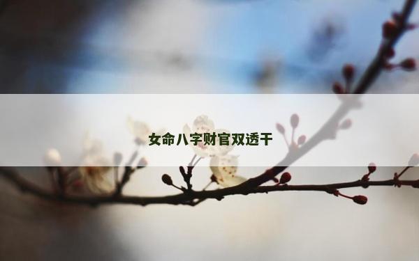 女命八字财官双透干