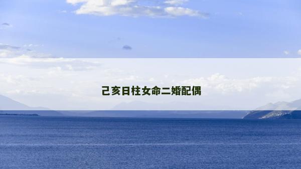 己亥日柱女命二婚配偶