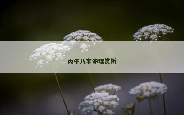 丙午八字命理赏析