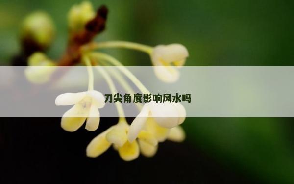 刀尖角度影响风水吗