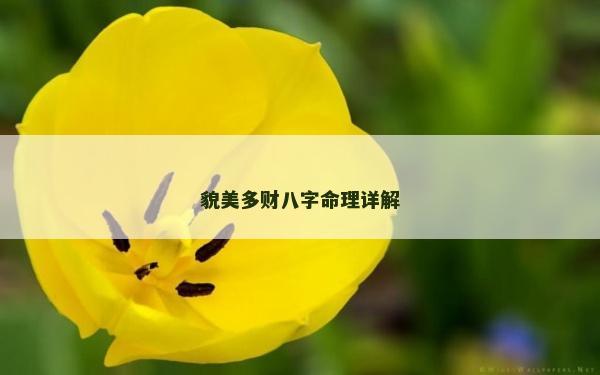 貌美多财八字命理详解