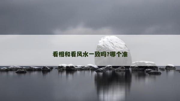 看相和看风水一致吗?哪个准