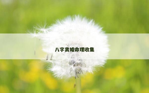 八字离婚命理收集
