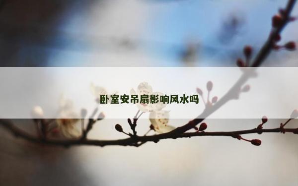 卧室安吊扇影响风水吗