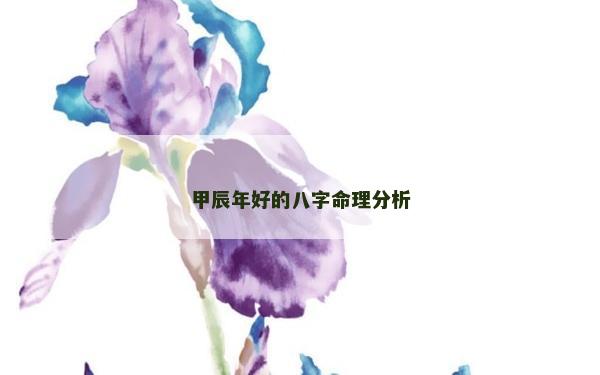 甲辰年好的八字命理分析