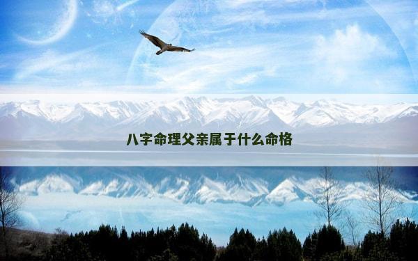 八字命理父亲属于什么命格