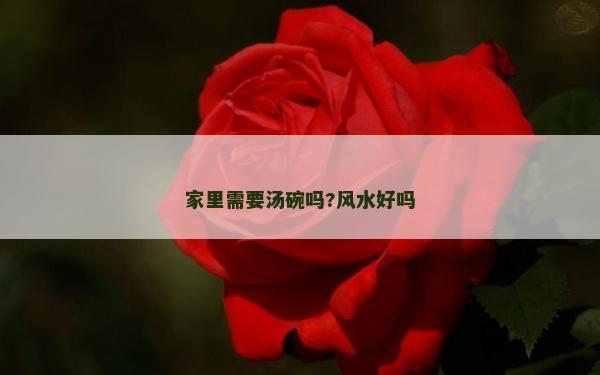 家里需要汤碗吗?风水好吗