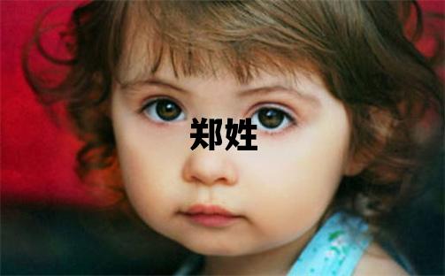 郑姓取名大气文雅的男宝宝名字