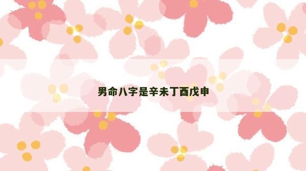 男命八字是辛未丁酉戊申