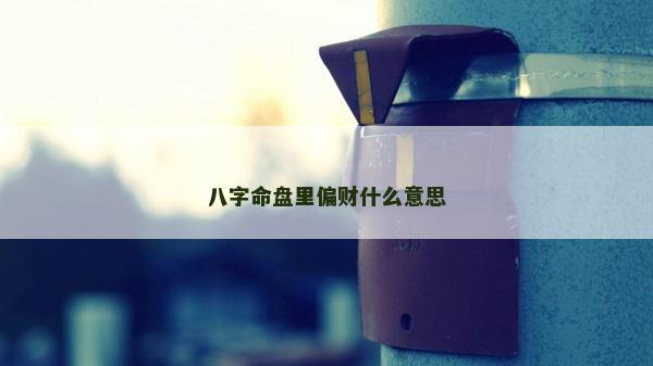 八字命盘里偏财什么意思