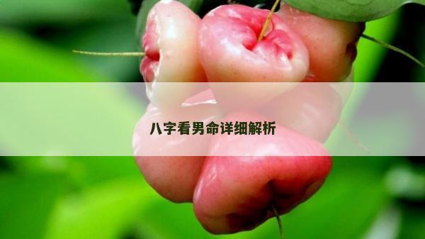 八字看男命详细解析