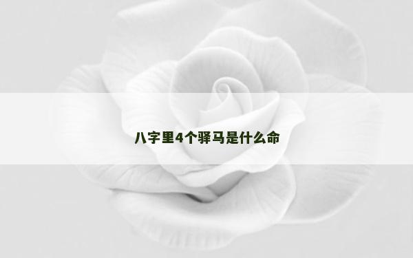 八字里4个驿马是什么命