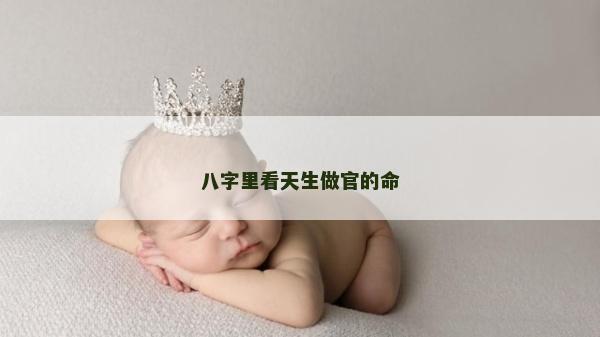 八字里看天生做官的命
