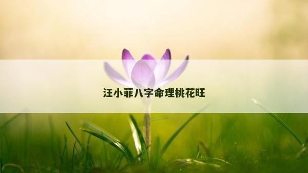 汪小菲八字命理桃花旺