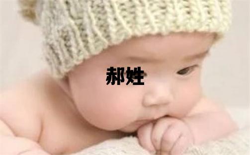 郝姓洋气的女宝宝名字