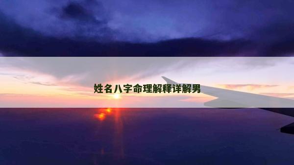 姓名八字命理解释详解男
