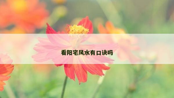 看阳宅风水有口诀吗