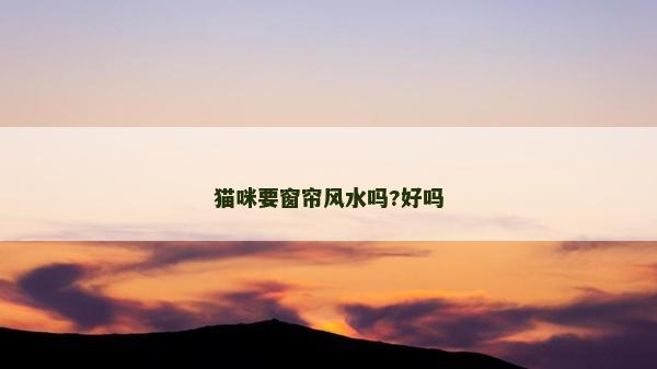猫咪要窗帘风水吗?好吗