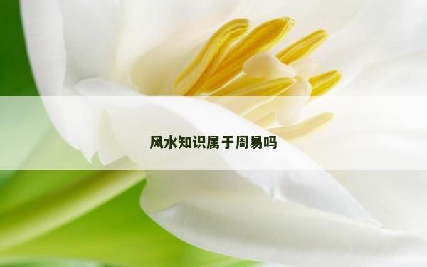 风水知识属于周易吗
