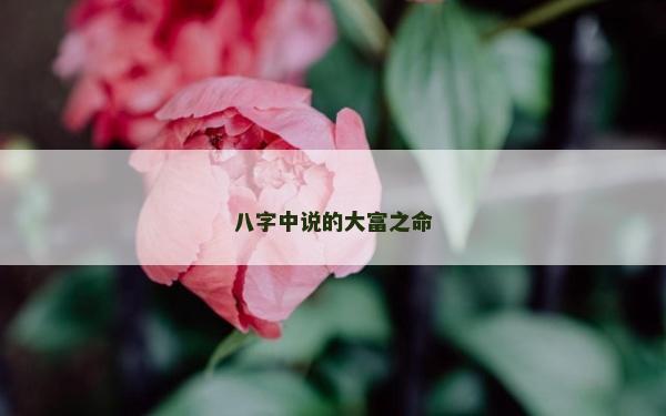 八字中说的大富之命