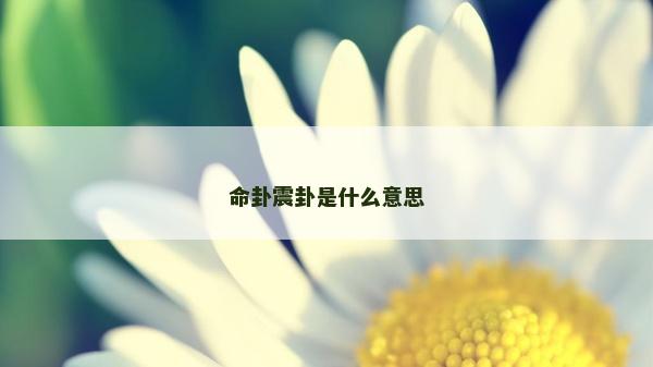 命卦震卦是什么意思