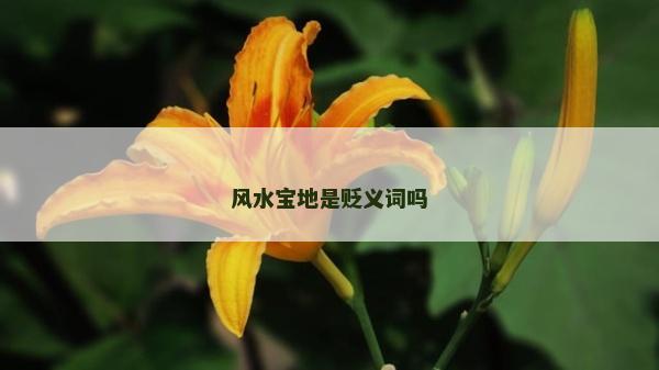 风水宝地是贬义词吗