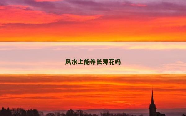风水上能养长寿花吗