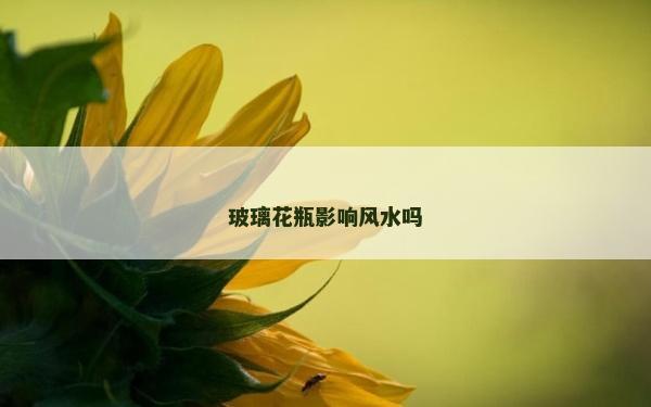 玻璃花瓶影响风水吗