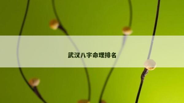 武汉八字命理排名