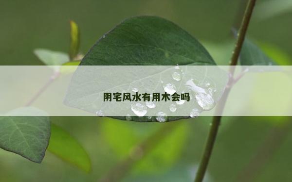 阴宅风水有用木会吗