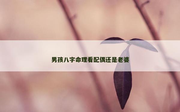 男孩八字命理看配偶还是老婆